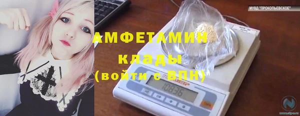 apvp Касимов