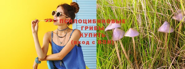 тгк Карпинск